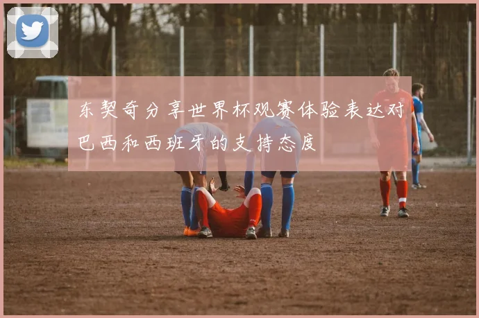 东契奇分享世界杯观赛体验表达对巴西和西班牙的支持态度